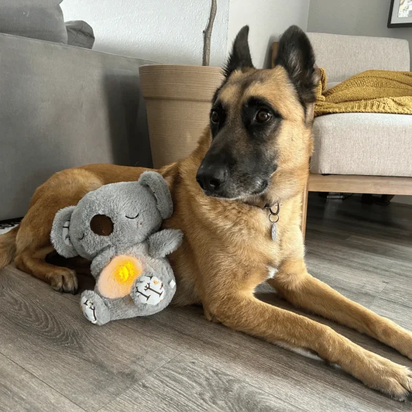 🐨Pet Calming Relief Breathing Stuffed Koala - Image 3