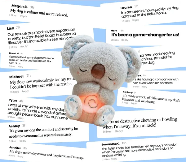 🐨Pet Calming Relief Breathing Stuffed Koala - Image 9