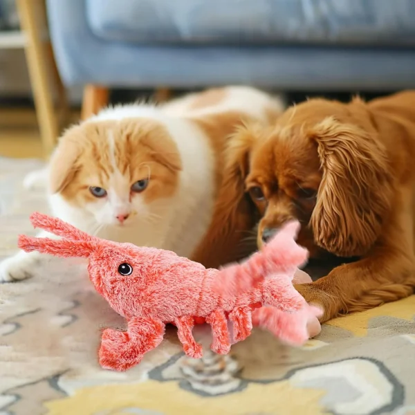 Hot Sale🔥Lobster Interactive Dog & Cat Toy - Image 4