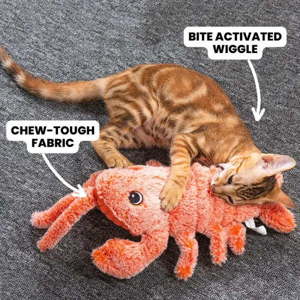 Hot Sale🔥Lobster Interactive Dog & Cat Toy - Image 5